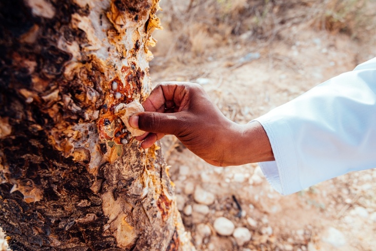 Oman tradycyjne aromaty