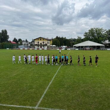 Drzewiarz Jasienica