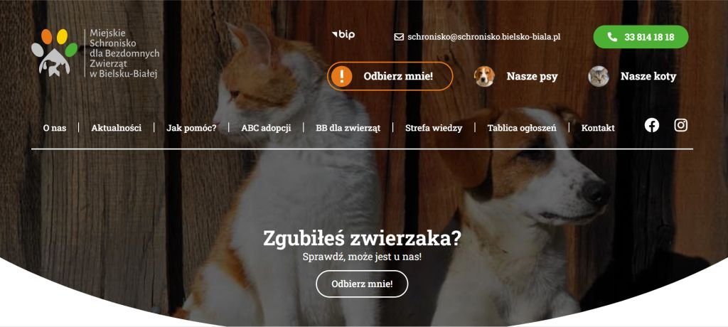 Tło