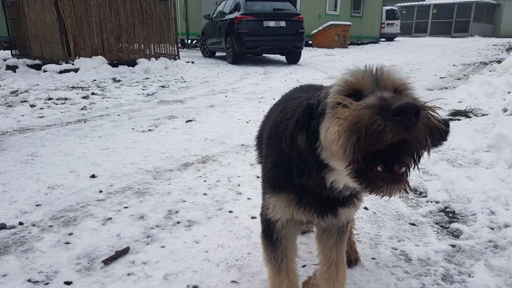 Tło