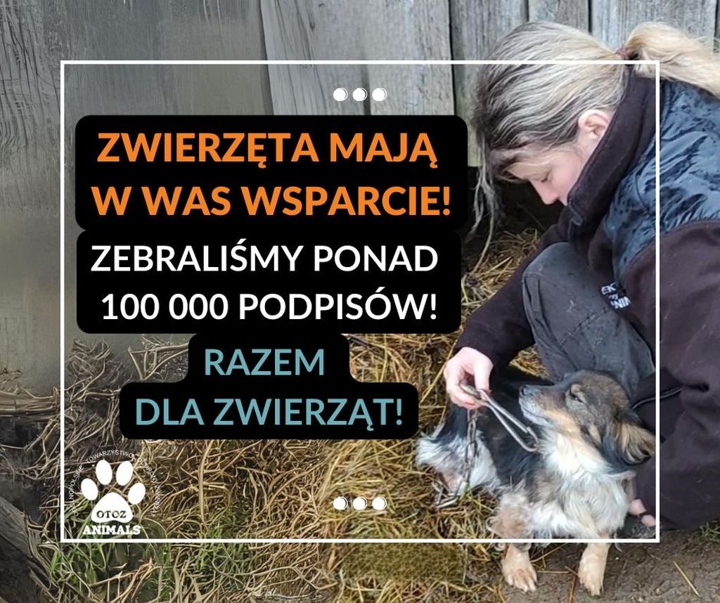 Tło