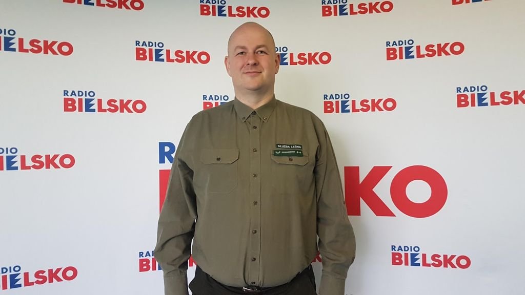 Tło