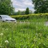 Wysoka trawa znów problemem. Dyrektor przeprasza i zapowiada personalne konsekwencje
