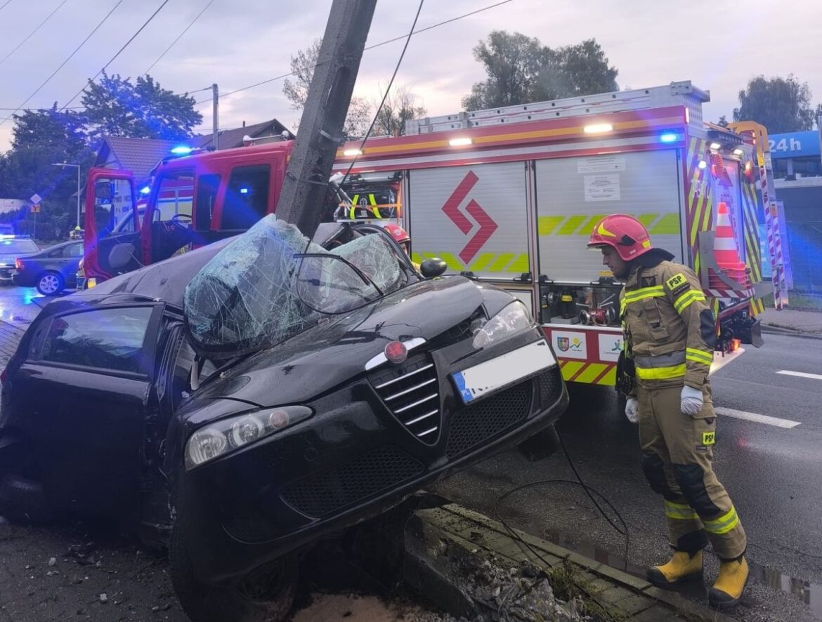 alfa na słupie