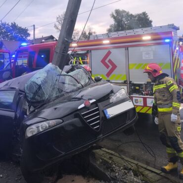 alfa na słupie