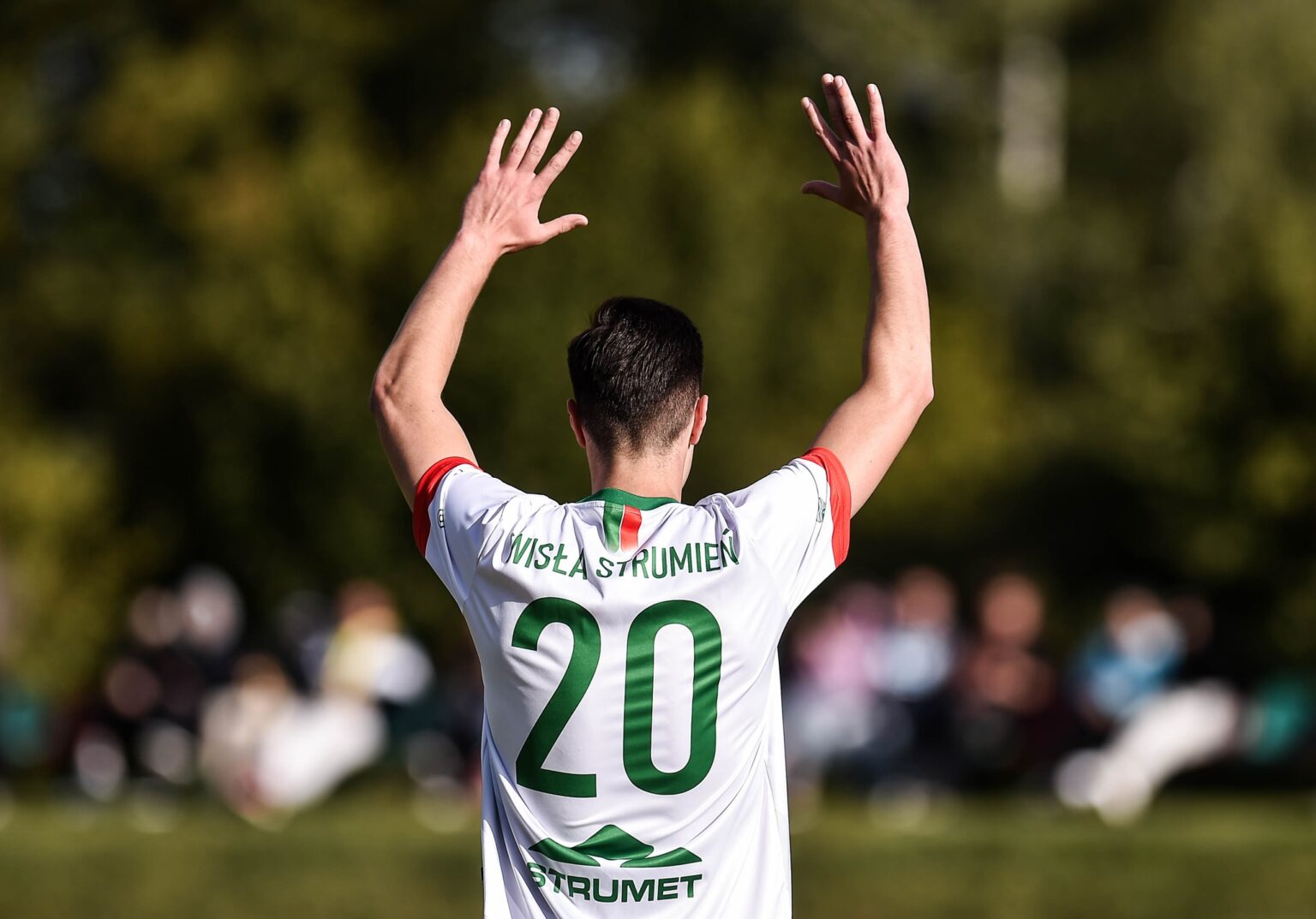 Piłkarze, Wisła Strumień