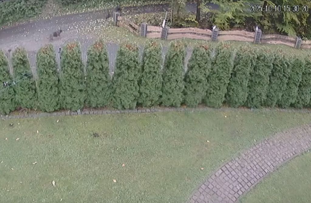 Tło