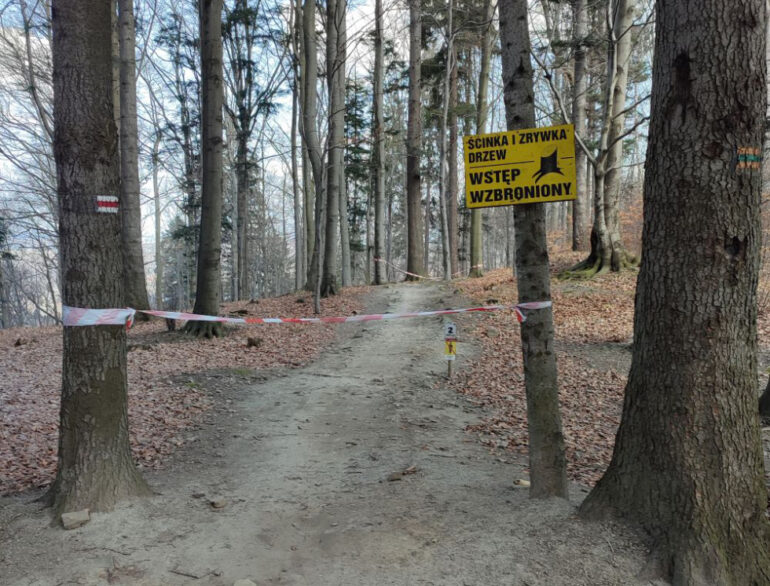 trasa rowerowa Kozia Góra Twister Enduro Trails