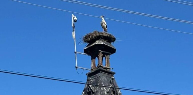 Florek Międzyrzecze Górne