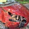 Pijana kierująca uderzyła w drzewo