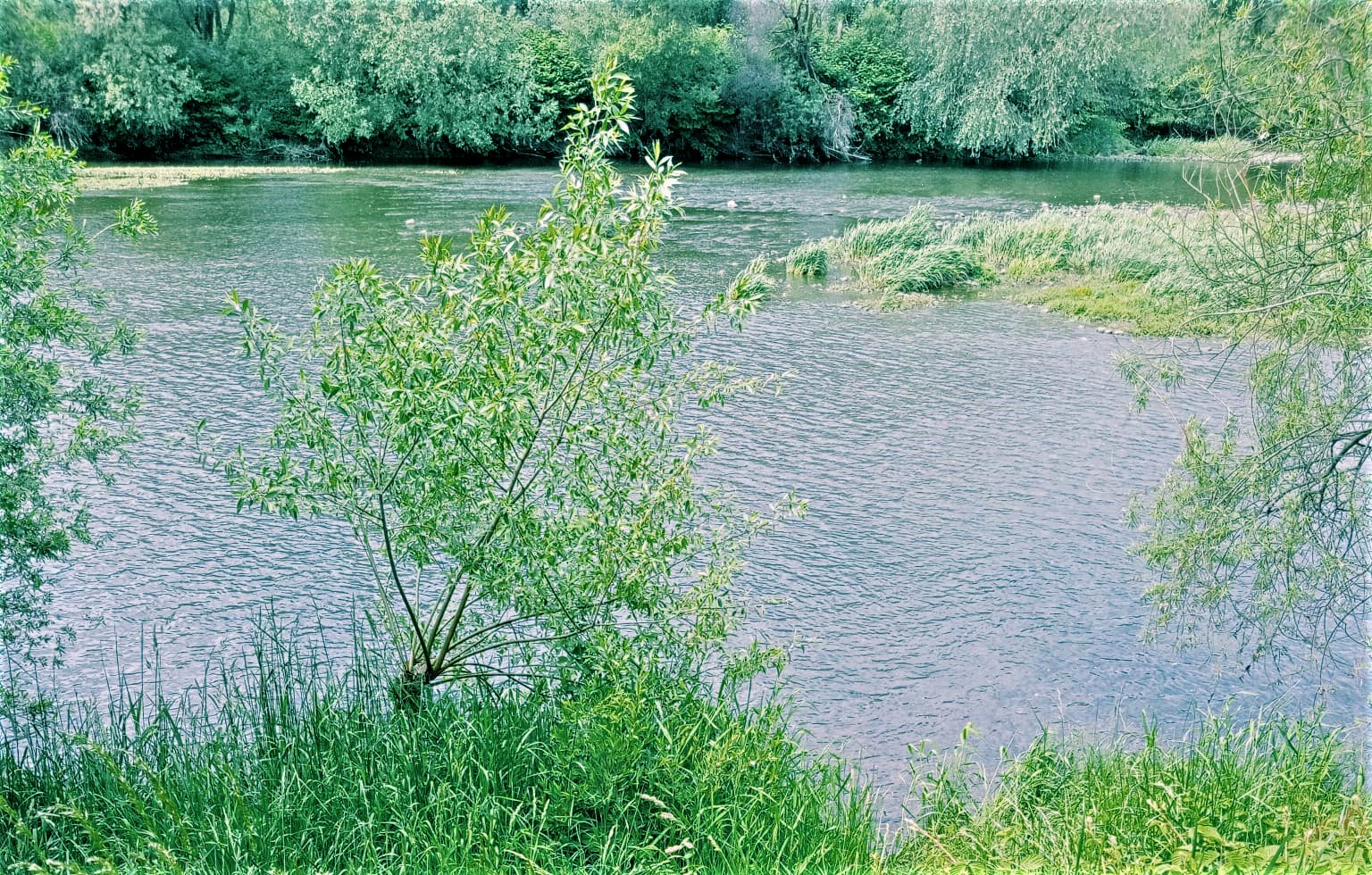 Tło