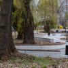 Bielsko-Biała zazieleni kolejne miejsca. Szykuje się przebudowa dwóch skwerów