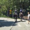 Policyjne konie nie tylko na beskidzkich szlakach. Nietypowy patrol przyciągał uwagę turystów