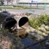 300 tysięcy na ujarzmienie potoku