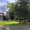 Mniej betonu, więcej zieleni. Sześć firm chce odmienić dwa bielskie skwery