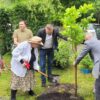 Drzewa zamiast pomników