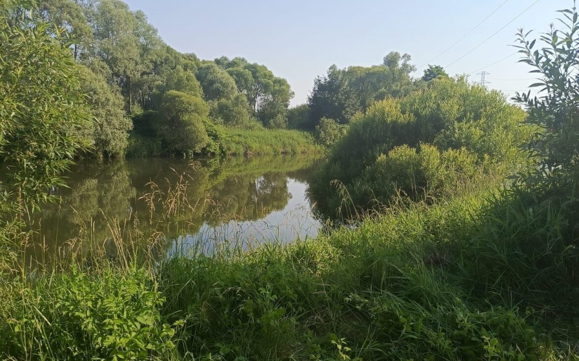 staw Broszkowice