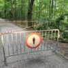 Ścieżka pod Wałką zamknięta. Nad trasą zawisł uszkodzony konar