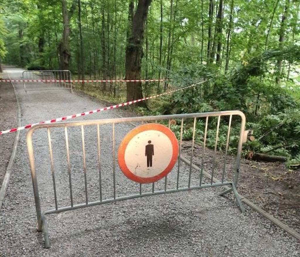 Tło