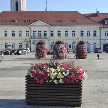 rynek oświęcim