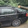 Burza uderzyła w powiat cieszyński. Setka interwencji