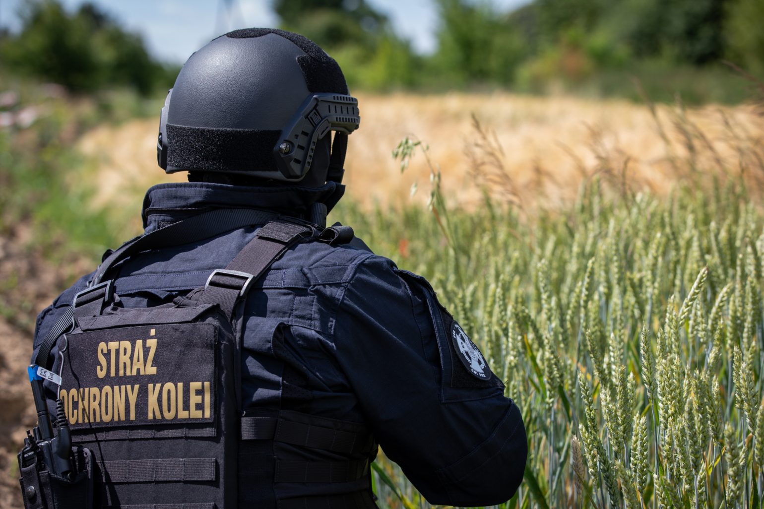 Tło