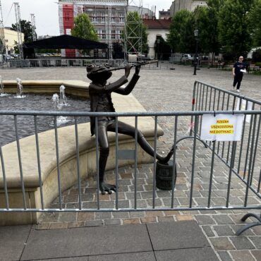 żaba pl. Wojska Polskiego