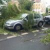 Bielsko-Biała: 175 zgłoszeń po burzy. Strażacy wciąż usuwają skutki nawałnicy