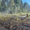 Palił się las. W akcji 30 strażaków i samolot gaśniczy
