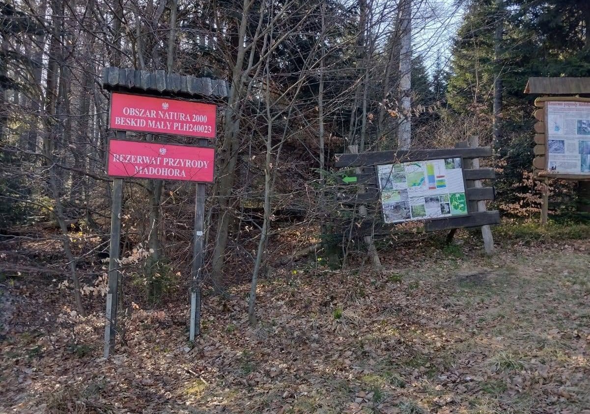 Tło