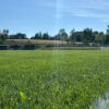 Gol z połowy boiska ozdobą meczu! Tempo podzieliło się punktami z Wilkowicami