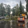 Ulica Fałata nieprzejezdna. Drzewo przewróciło się na drogę AKTUALIZACJA
