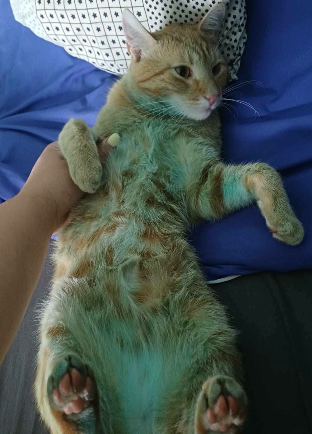 Tło