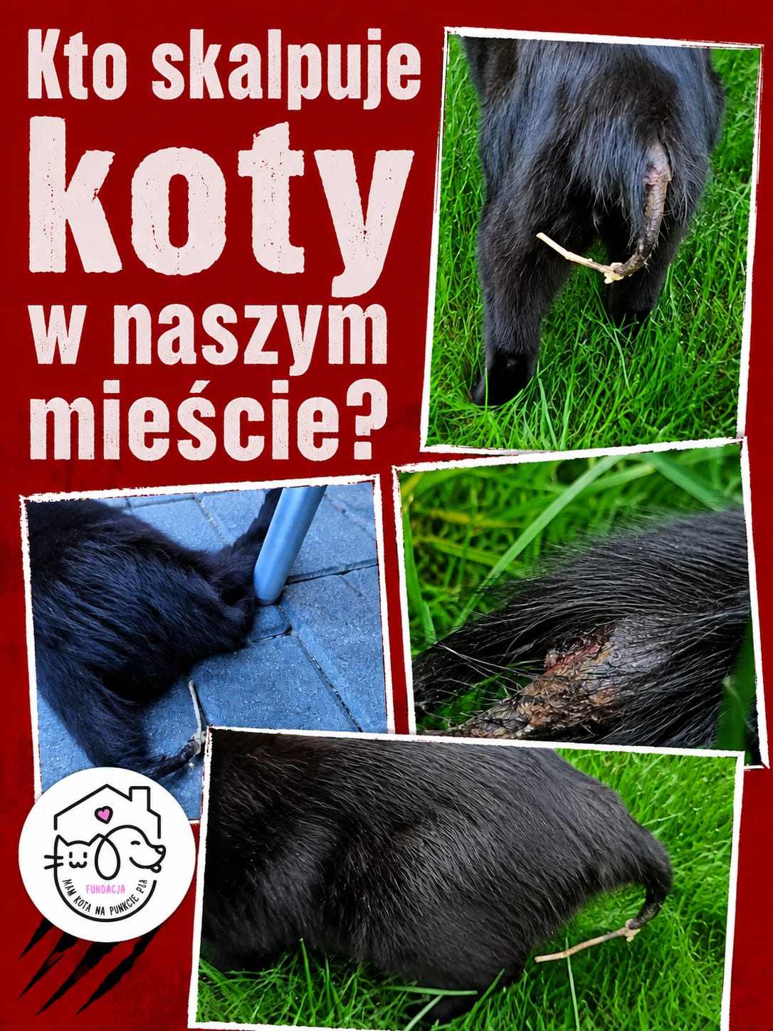 Tło