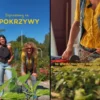Z pokrzywy zrobią… dzieło sztuki. Każdy może pomóc!