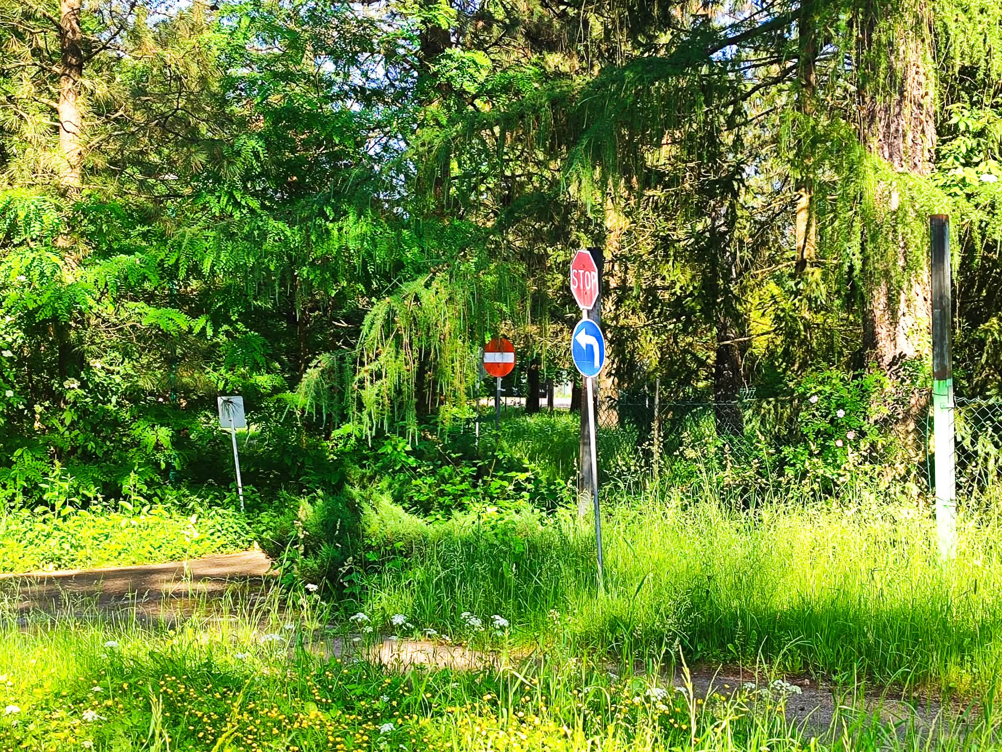 Tło