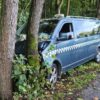 Bus uderzył w drzewo. Ratownicy pomagają dwóm kobietom