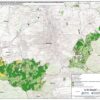 89 proc. lasów społecznych z ograniczoną wycinką? Społecznicy mówią o sukcesie