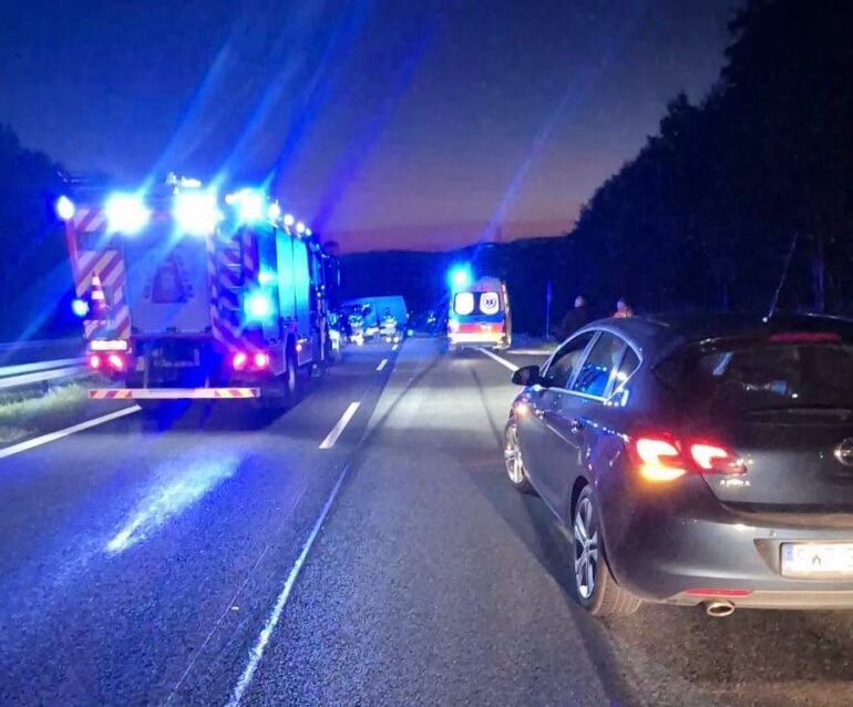 Międzyświeć S52 zderzenie z sarną