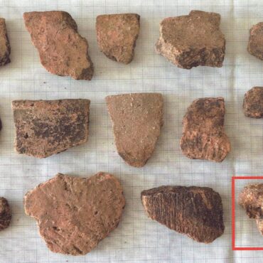 odkrycie archeologiczne na Słowacji
